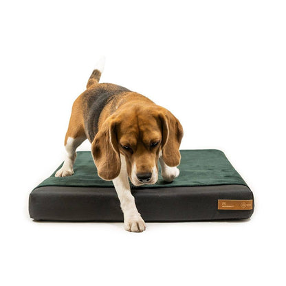 Ori Waterproof Orthopaedic Mattress – Soft, Supportive & Hygienic Comfort