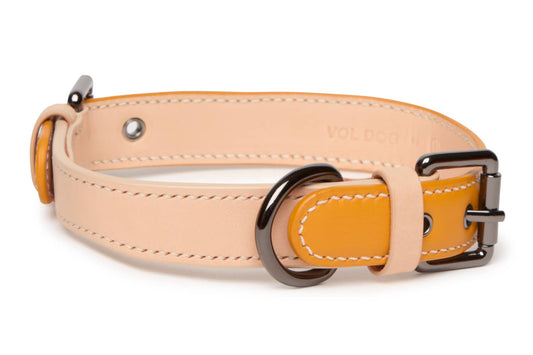 Collar Mustard CoLAB