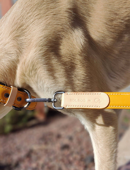 Collar Mustard CoLAB