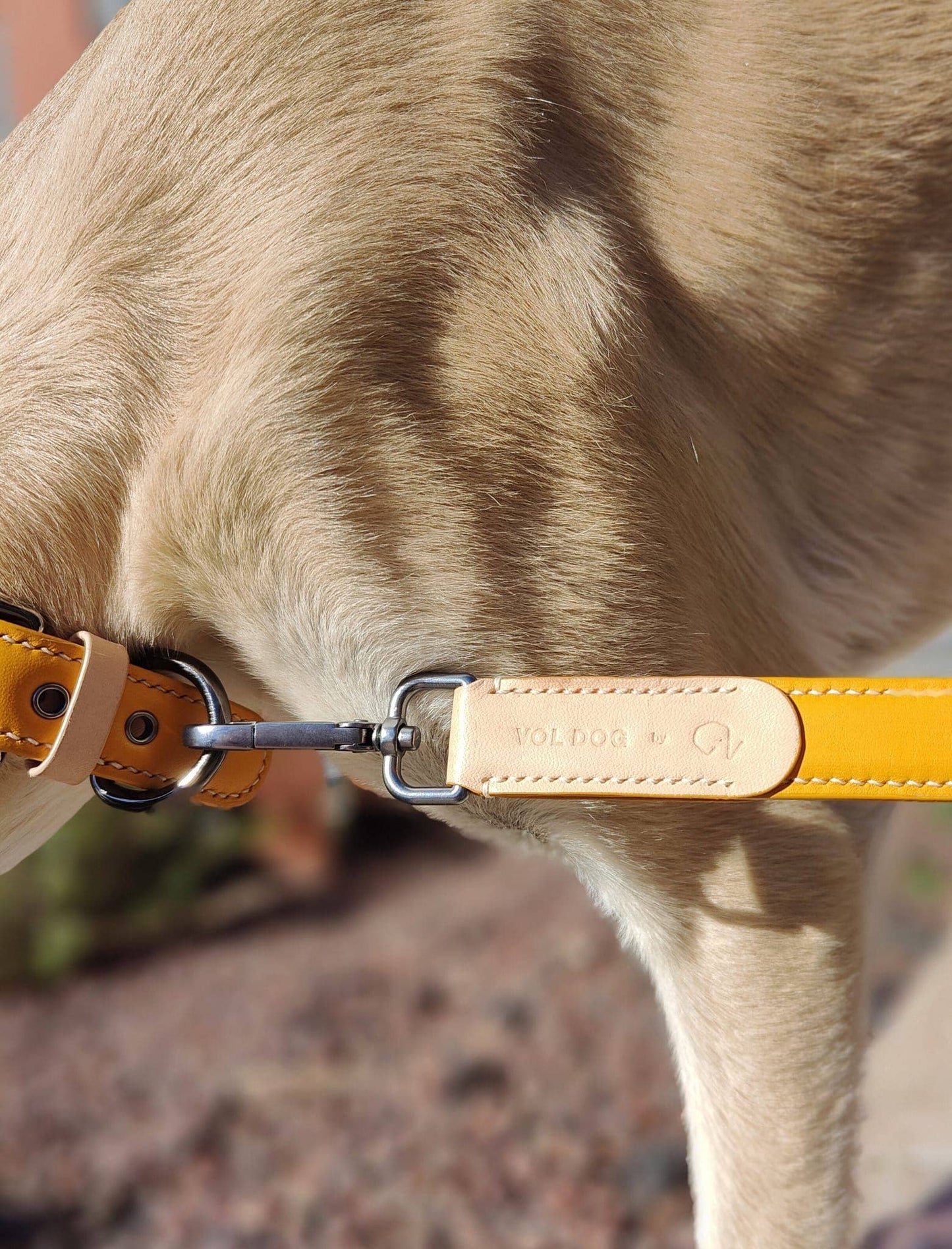 Strap CoLAB Mustard