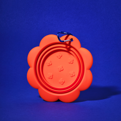 Fiorellino Collapsible Travel Bowl for Dogs | Food-Grade Silicone