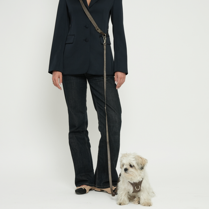 Person wearing a black suit with a dog on a leash against a white background