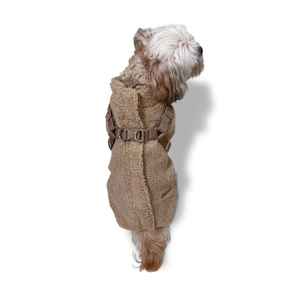 Teddy Dog Coat with Built-In Harness