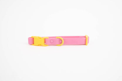 Fritz Dog Collar – Pink Lemonade | Waterproof & Adjustable