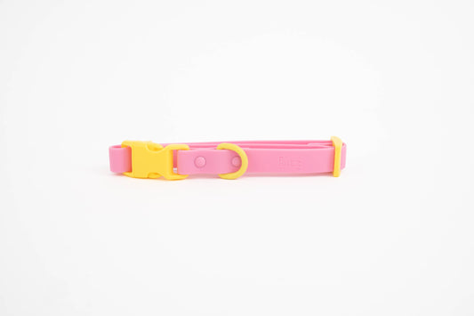 Fritz Dog Collar – Pink Lemonade | Waterproof & Adjustable