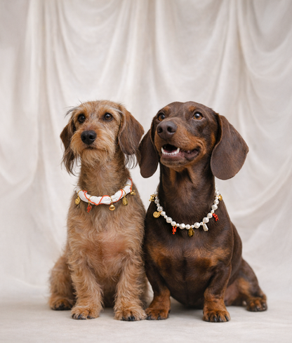 Coral Dog Charm Necklace – Decorative Collar with Charms | Sira