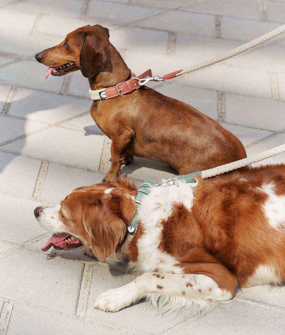 Corda Dog Leash – Brown | 1.1m Hand-Braided Vegan Leather