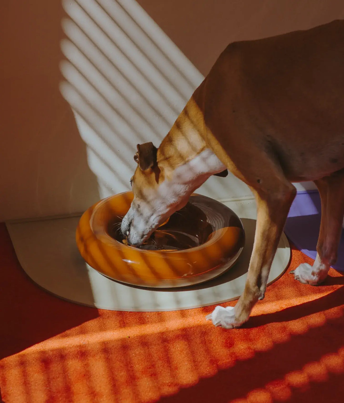 Handmade Ceramic Dog Bowl – Artisan Porcelain Feeder | SPLOOT