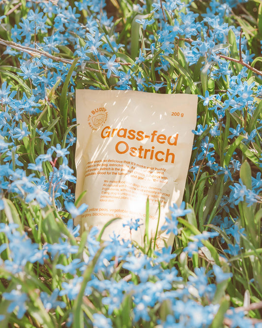 Soft Ostrich Dog Treats 200 g | Grain-Free Training Treats | Buddy