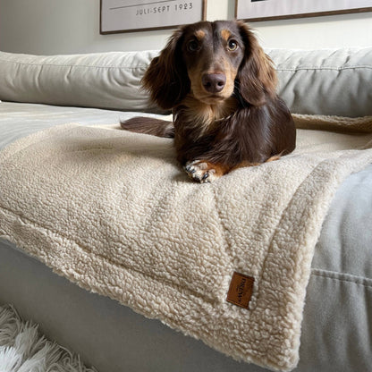 Soft Dog Blanket in Teddy Fleece – Beige | Scandinavian Design