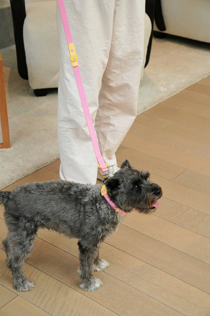 Waterproof Fritz Dog Leash in Pink Lemonade – Adjustable & Durable