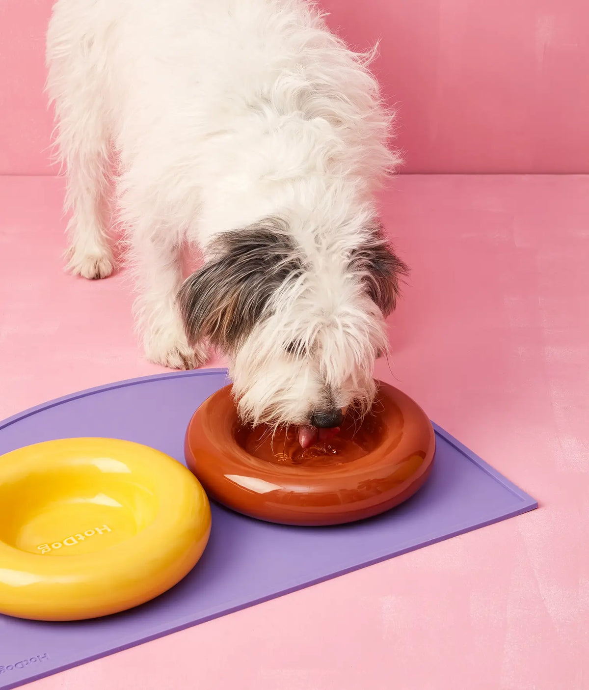Yellow ceramic dog feeder