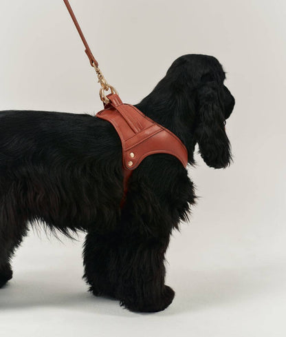 Jala Vegan Leather Dog Harness – Brown | Handmade & Sustainable