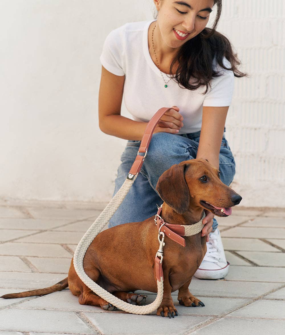 Corda Dog Leash – Brown | 1.1m Hand-Braided Vegan Leather