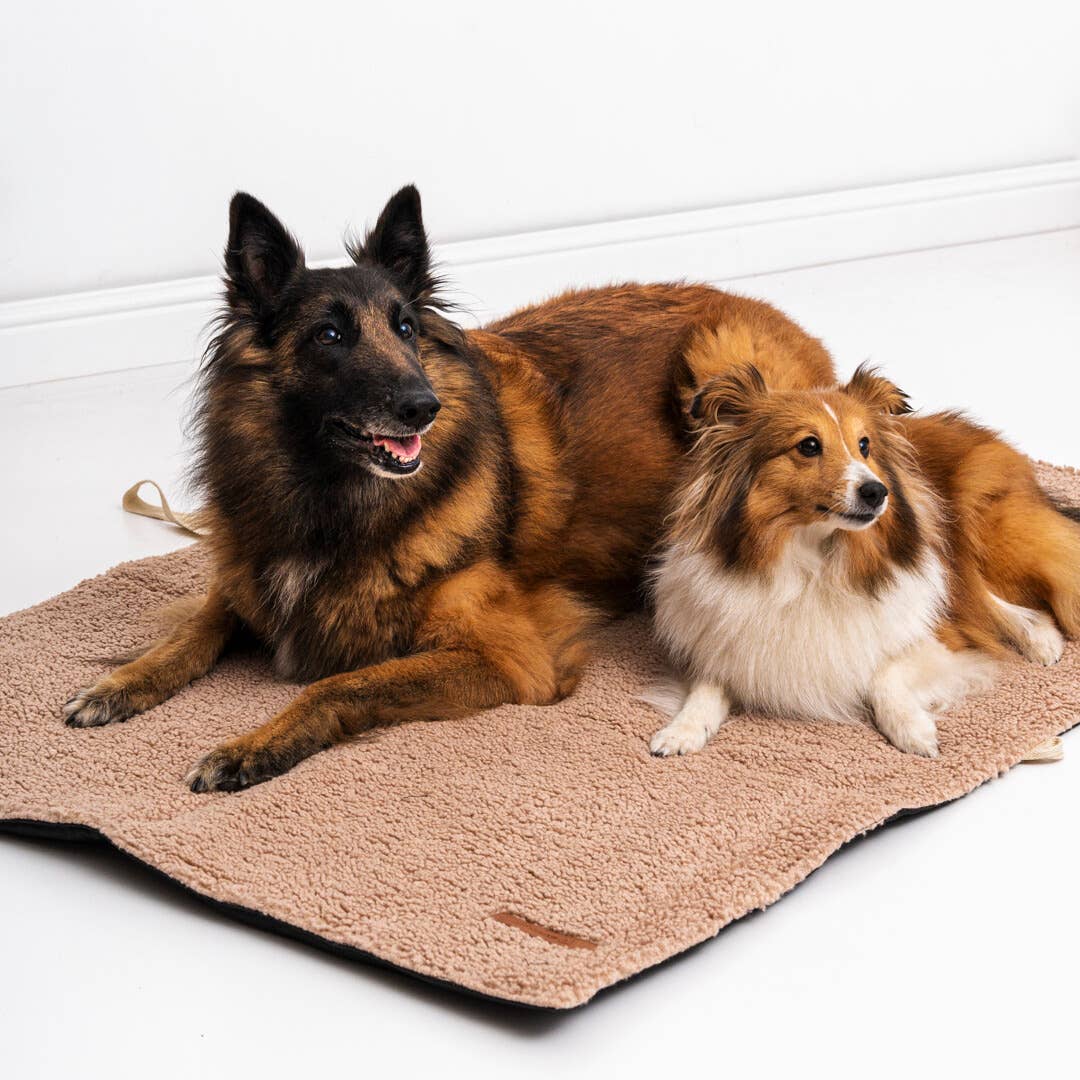Mia Teddy Travel Mat – Comfort Anywhere, Anytime