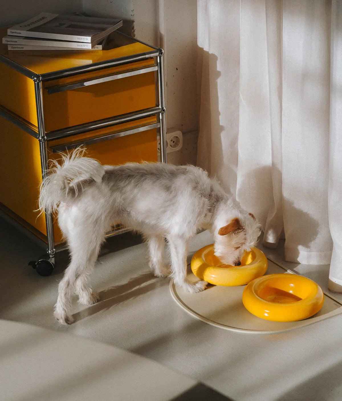 Yellow ceramic dog feeder