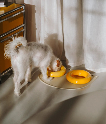 Yellow ceramic dog feeder