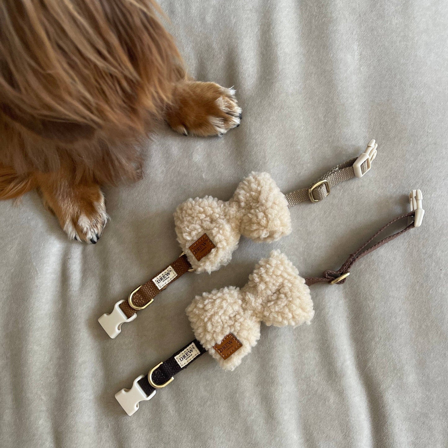 Teddy Butterfly – Beige | Recycled Dog Collar Accessory