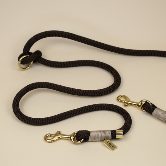 Black dog leash with gold hardware on a beige background