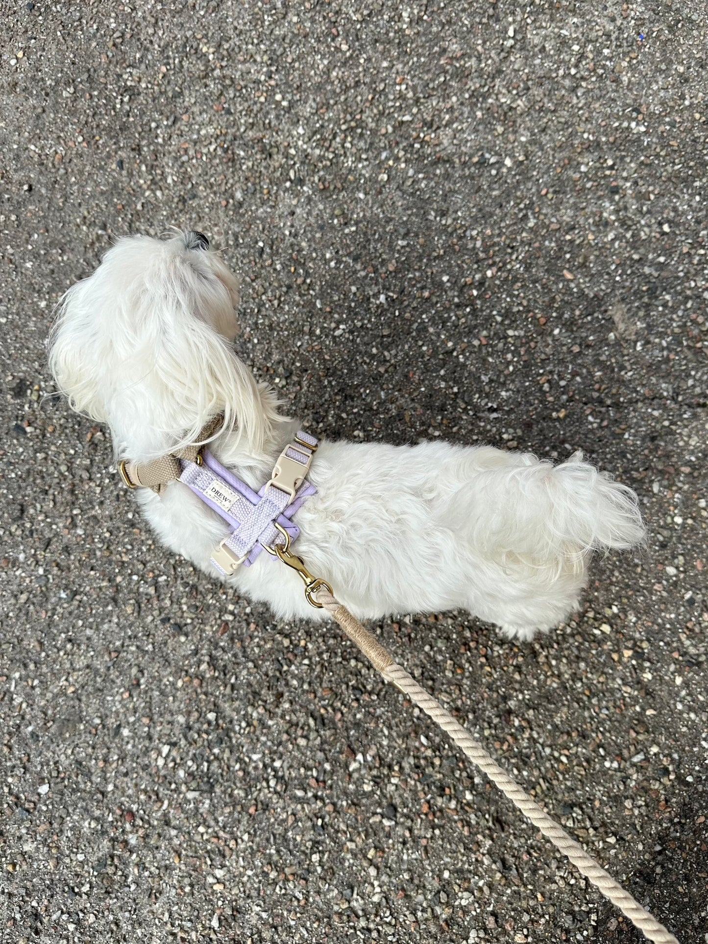 Adjustable Padded Dog Harness PRO Lilac – Dual Clip, Brass Details