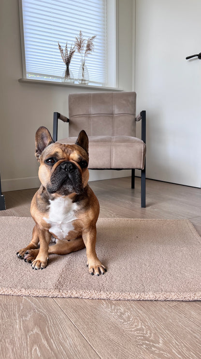 Teddy Cream - Travel Blanket