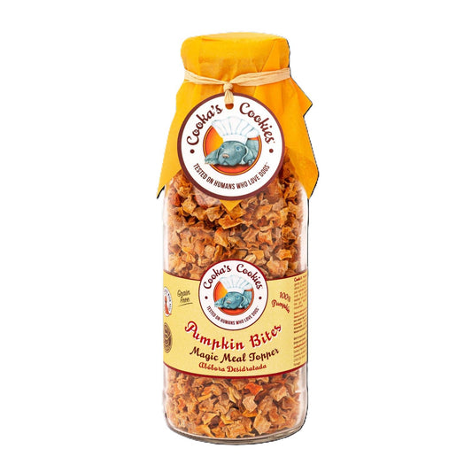 Pumpkin Chips | Air-Dried Meal Topper & BARF Supplement for Dogs | 240 g Glass Bottle