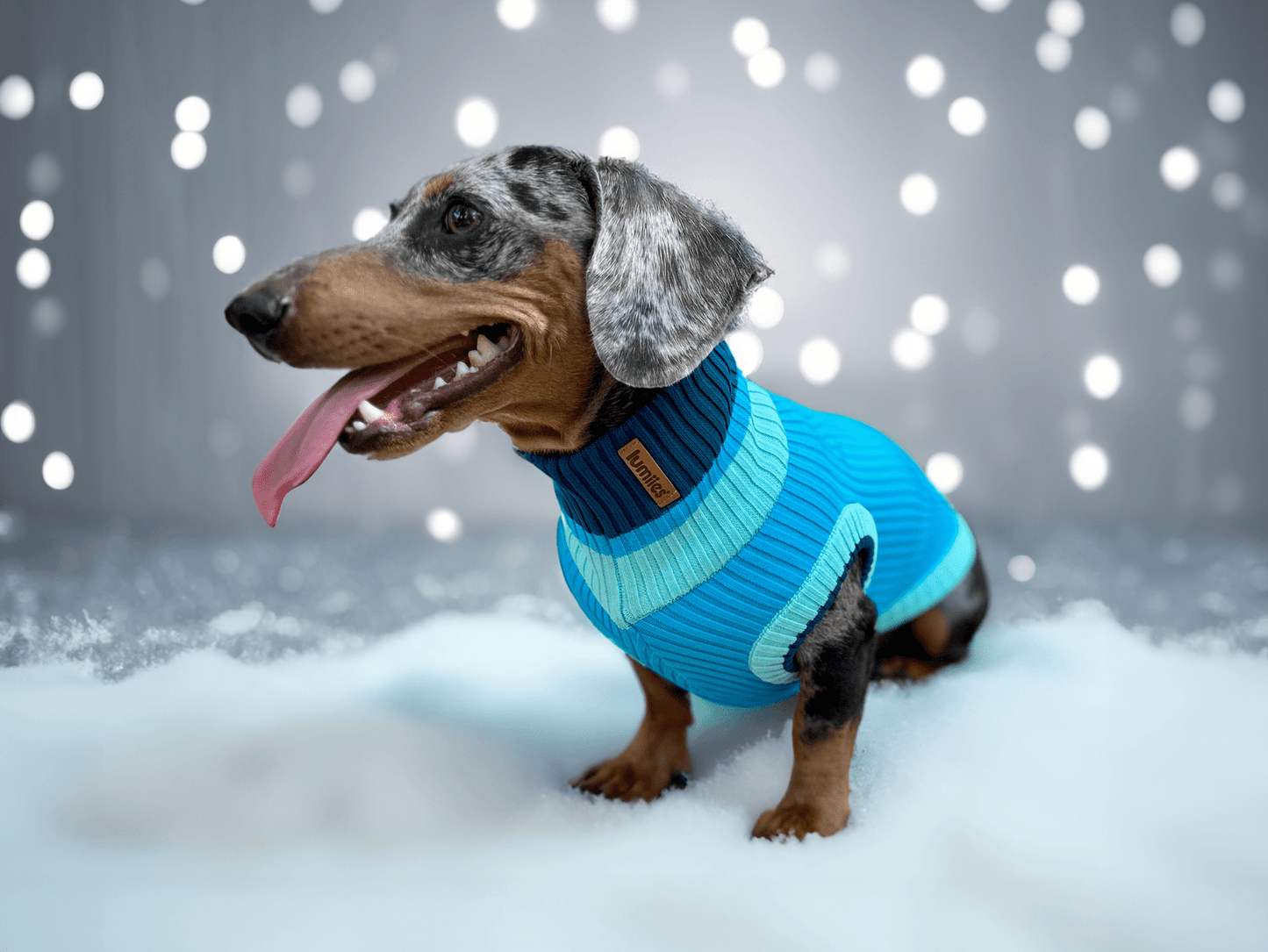 THE GLOW JUMPER 2.0 - Neon Dog Sweater - (Crystal Sky): Crystal Sky / 6