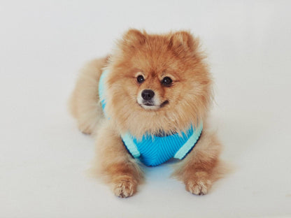 THE GLOW JUMPER 2.0 - Neon Dog Sweater - (Crystal Sky): Crystal Sky / 6