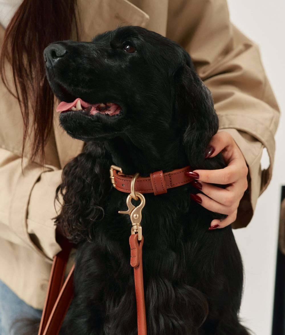 Jala Vegan Leather Dog Leash – Brown | 1.4m Sustainable & Handmade