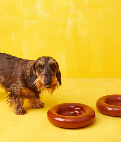 Handmade Ceramic Dog Bowl – Artisan Porcelain Feeder | SPLOOT