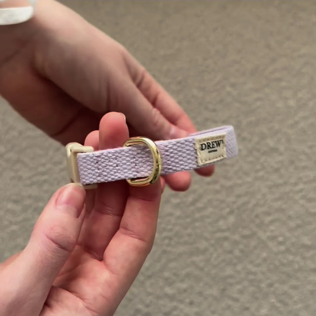 Adjustable Lightweight Puppy Collar | XS