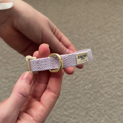 Adjustable Lightweight Puppy Collar | XS