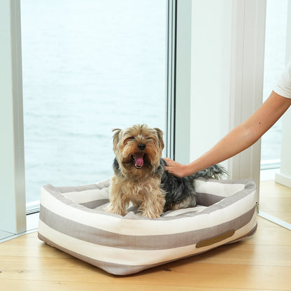Yorkshire terrier dog on a striped dog bed with a pillow on a water background