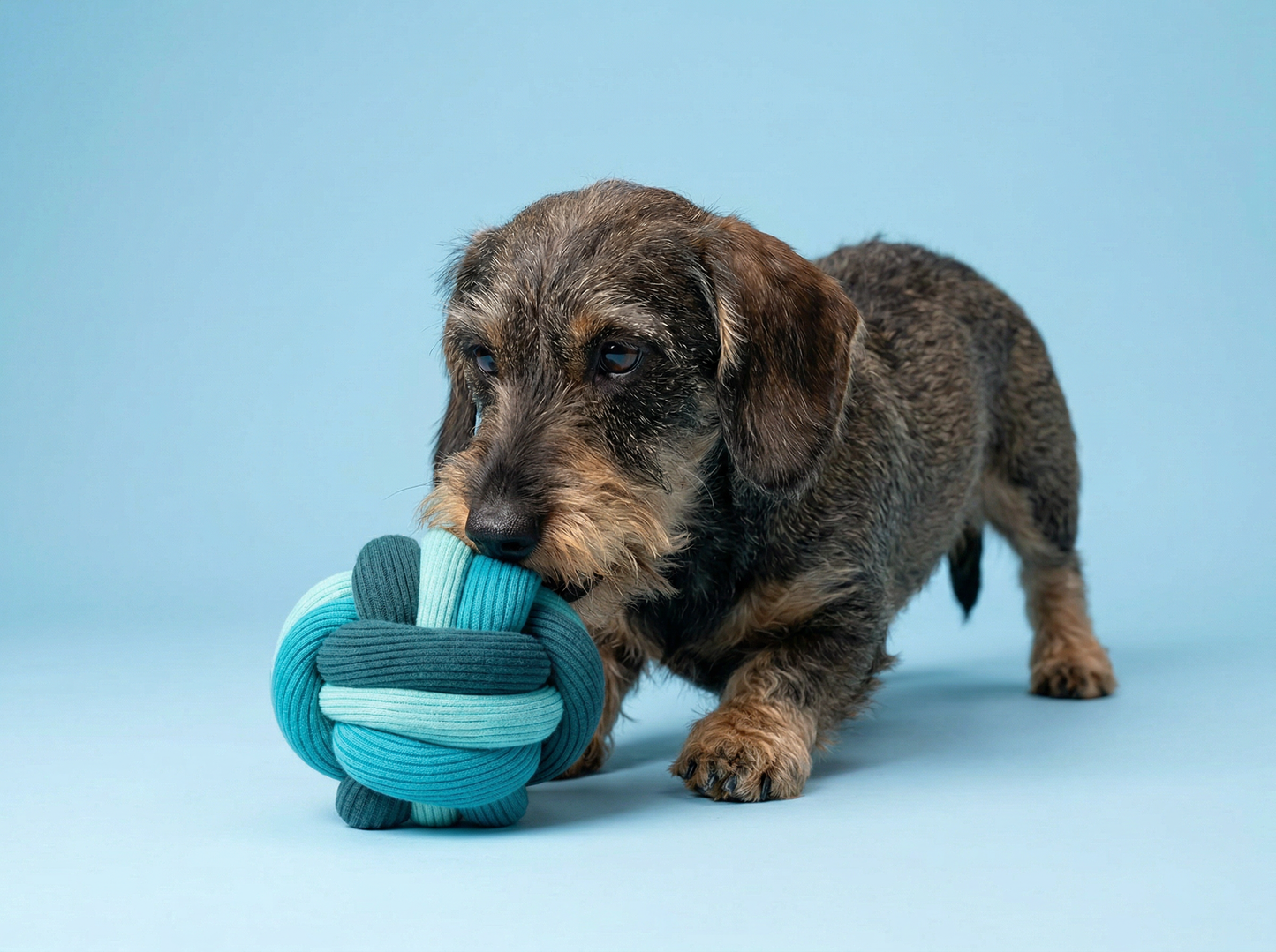 The Twisty Ball – Interactive Snuffle Ball for Dogs (new!)