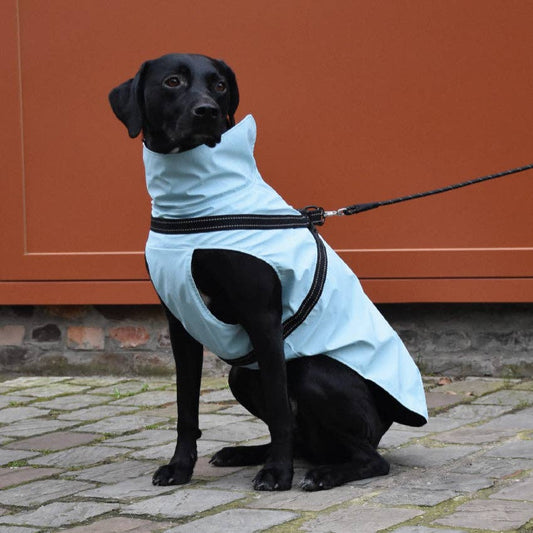 Tom Neoprene Waterproof Blue Dog Coat with Reflective Details