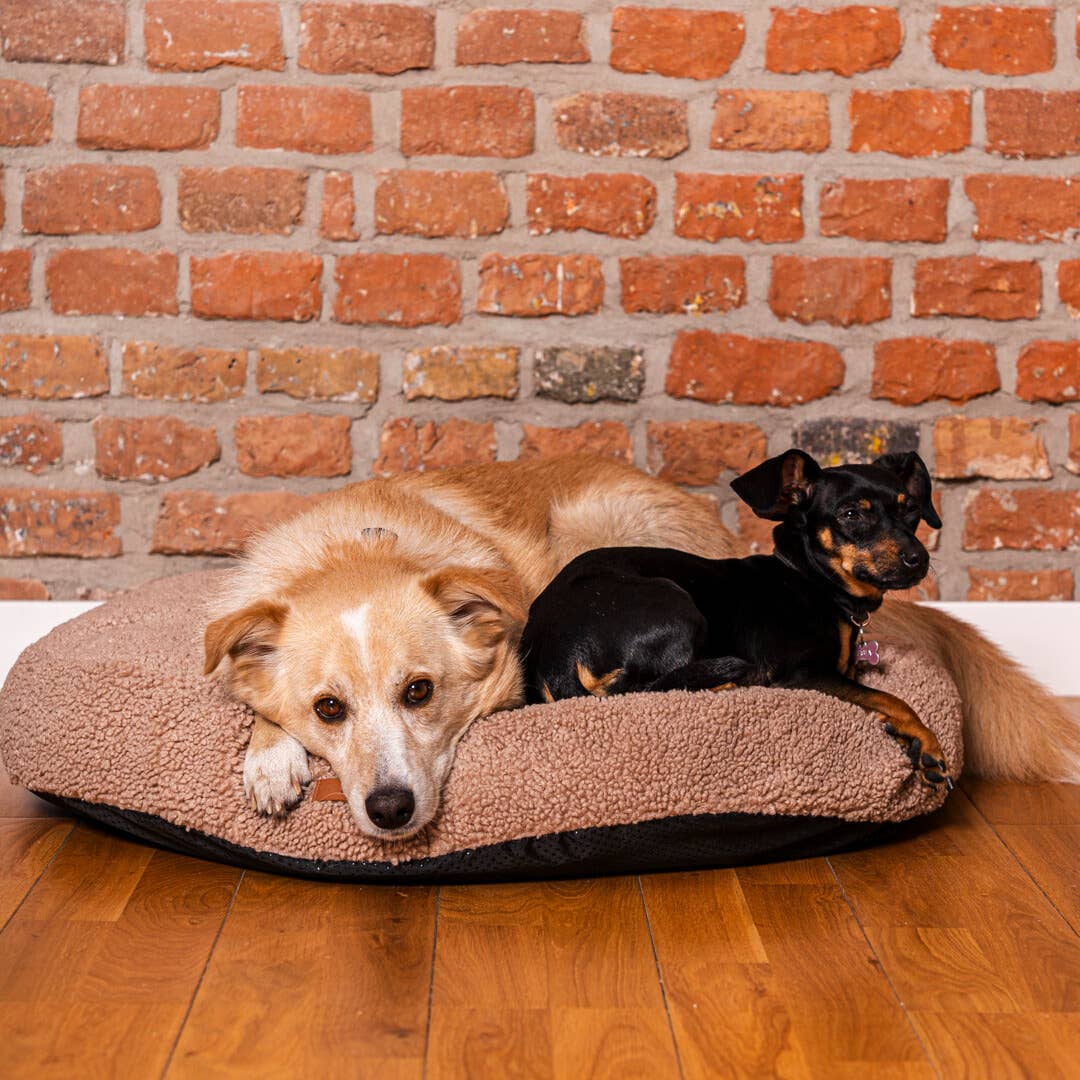 COCO Teddy Round Bed – Soft Sherpa Comfort for Dogs