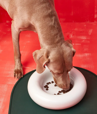Yellow ceramic dog feeder