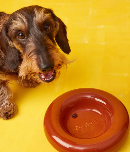 Handmade Ceramic Dog Bowl – Artisan Porcelain Feeder | SPLOOT