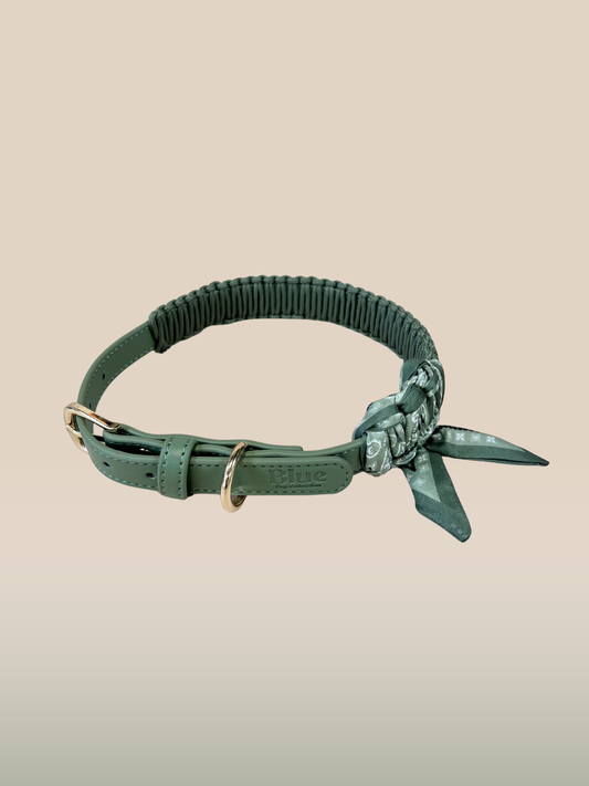 Green leather dog collar with a knot on a beige background