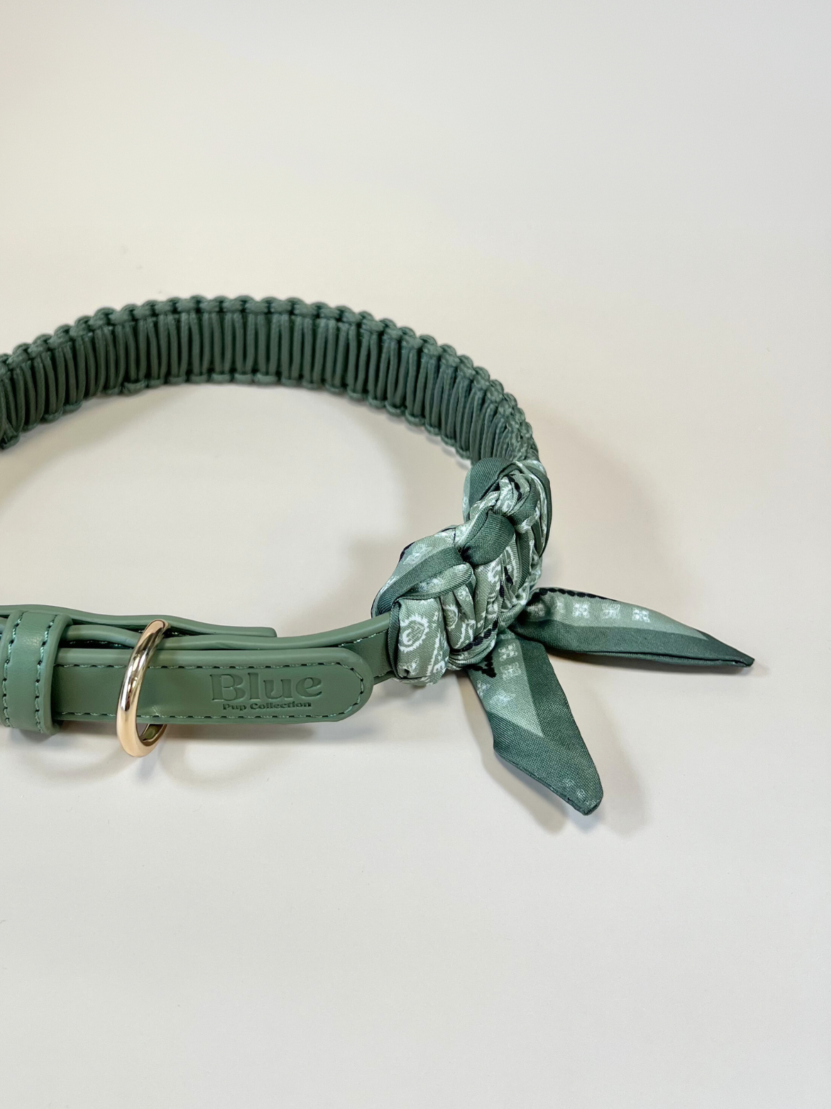 Green dog collar with a patterned bow on a light beige background