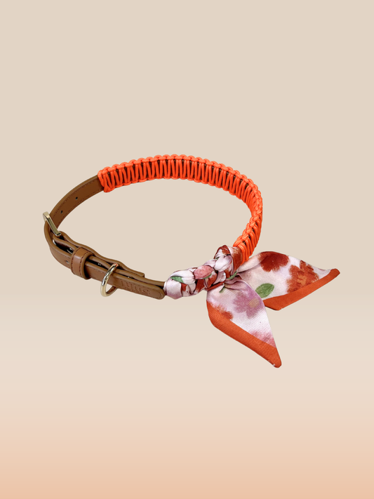 Dog collar with a floral ribbon on a beige background