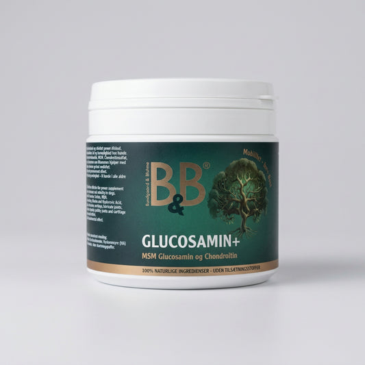 Container of BB&Glucosamin+ supplement with green label on a white background