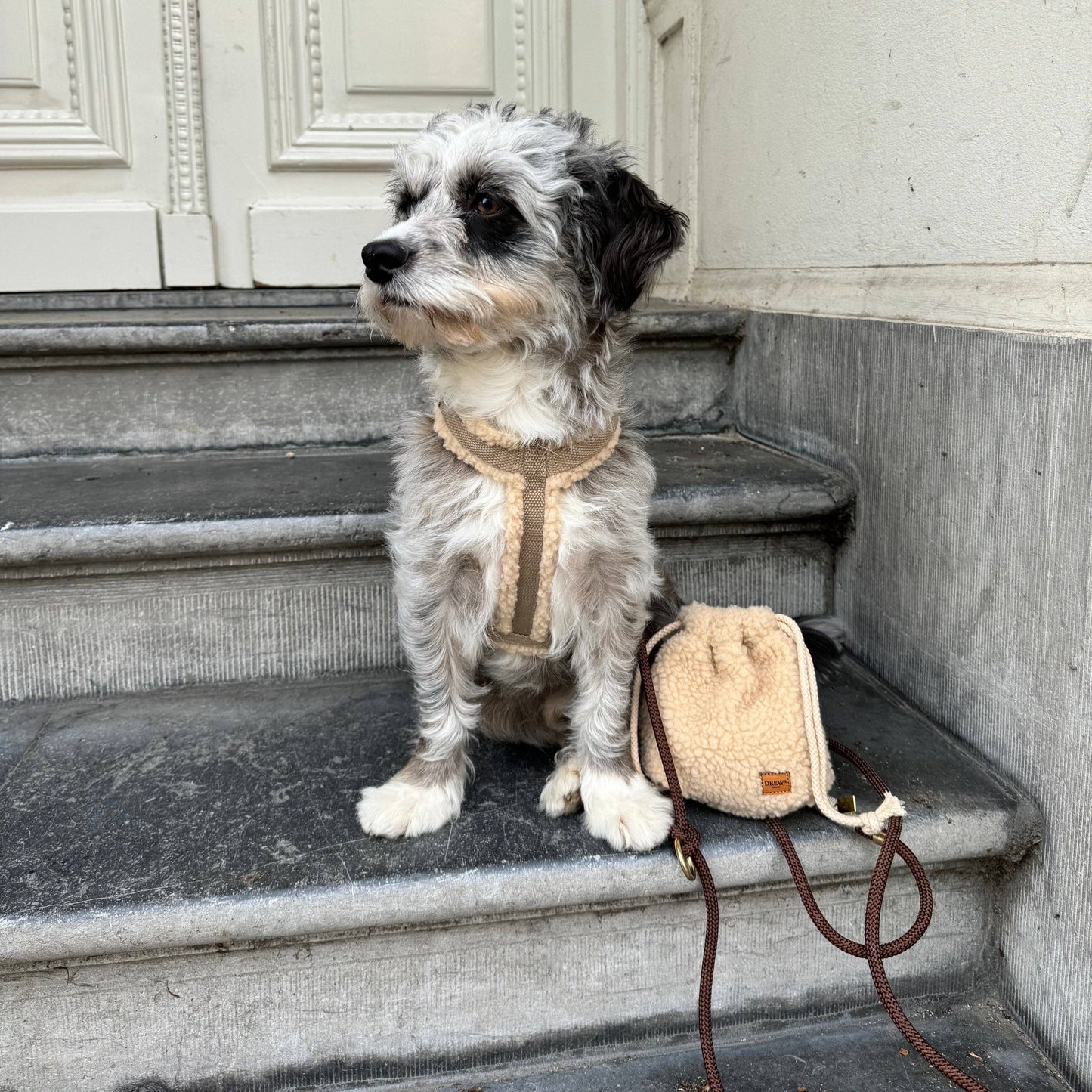 Teddy Treat Bag – Beige | Chic & Sustainable Dog Accessory