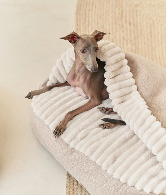 Beige Corduroy Dog Bed with Hood – Maso (Removable & Washable)