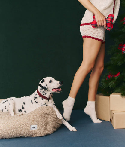 Person in festive outfit with a Dalmatian dog on a blue floor against a dark green wall.