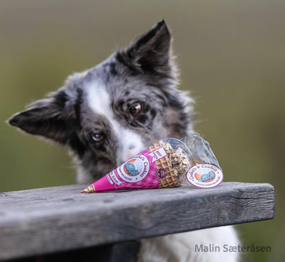 Dog looking at a bag of dog treats on a wooden surface with a blurred background