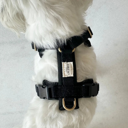 Dog wearing a black harness with a brand label on a light gray background