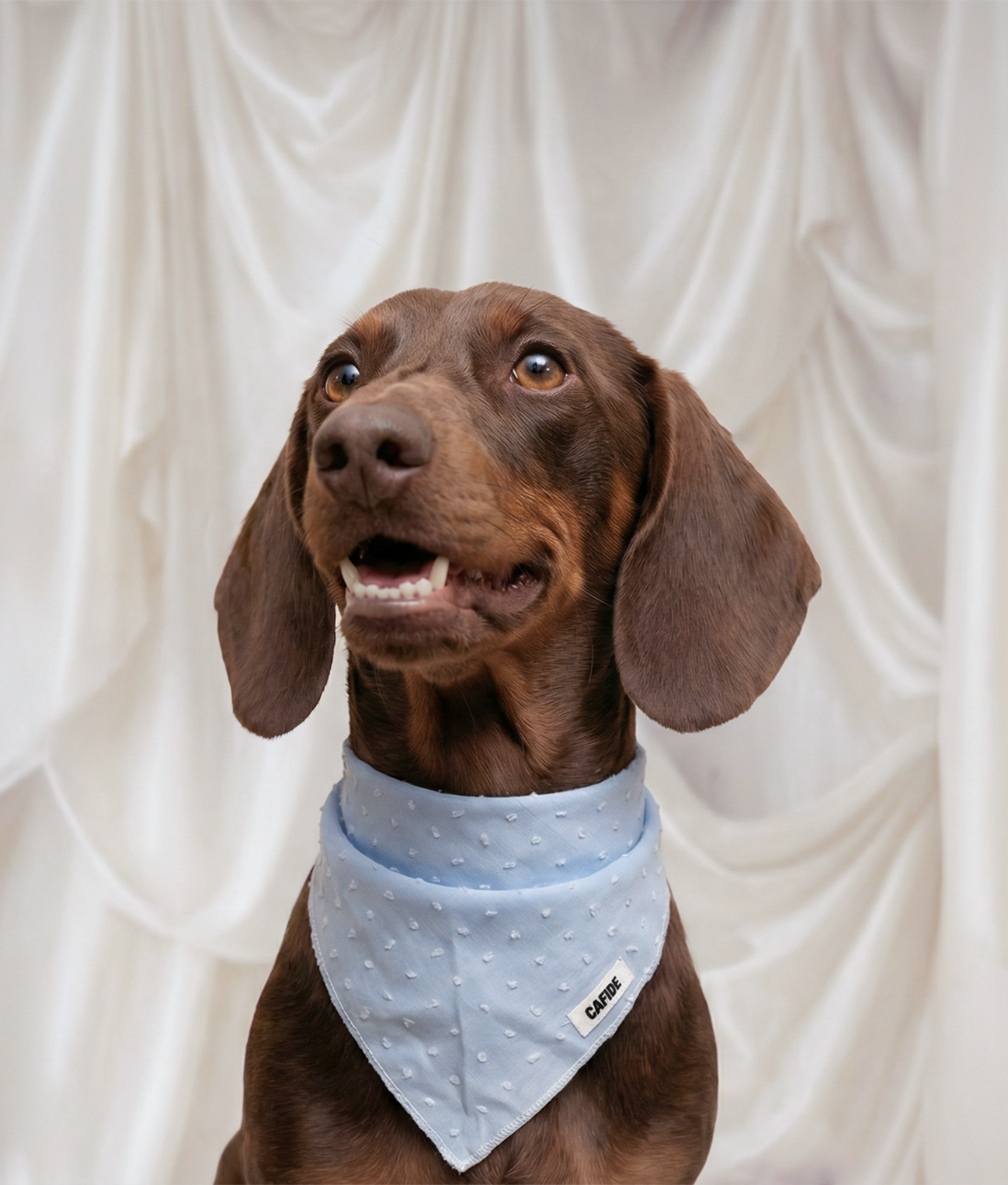 Blue Plumeti Dog Bandana – 100% Cotton | Nata