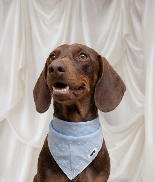 Blue Plumeti Dog Bandana – 100% Cotton | Nata