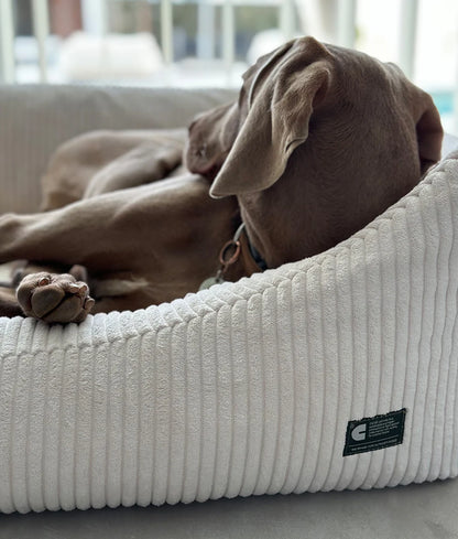 Dog lying on a textured white pet bed with a visible brand label.